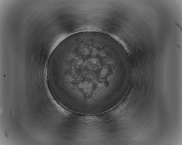 X0000091001383200708241439