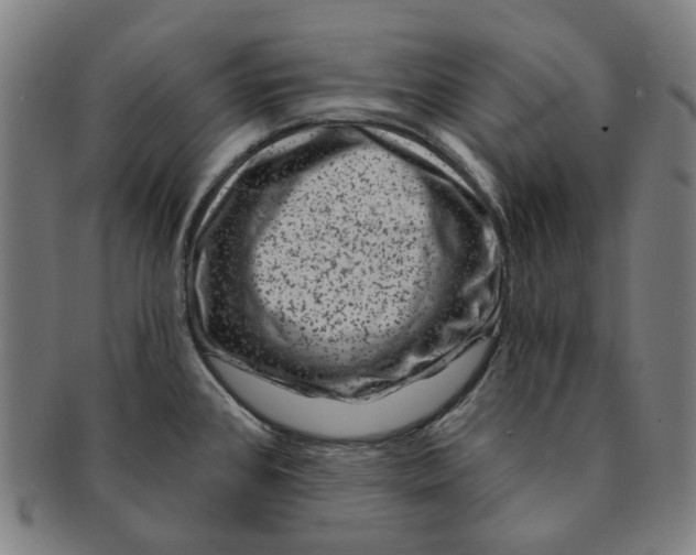 X0000091001384200708241439