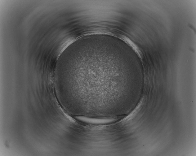 X0000091001385200708241439