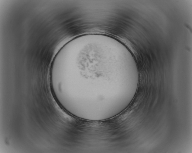 X0000091001387200708241439