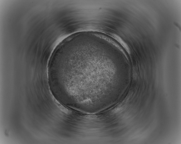 X0000091001388200708241439