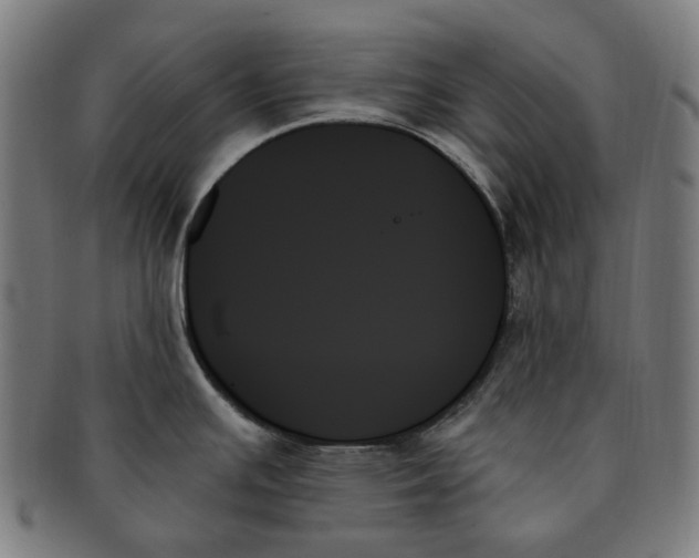 X0000091001391200708241439