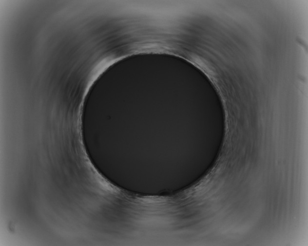 X0000091001392200708241439