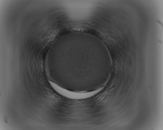 X0000091001394200708241438