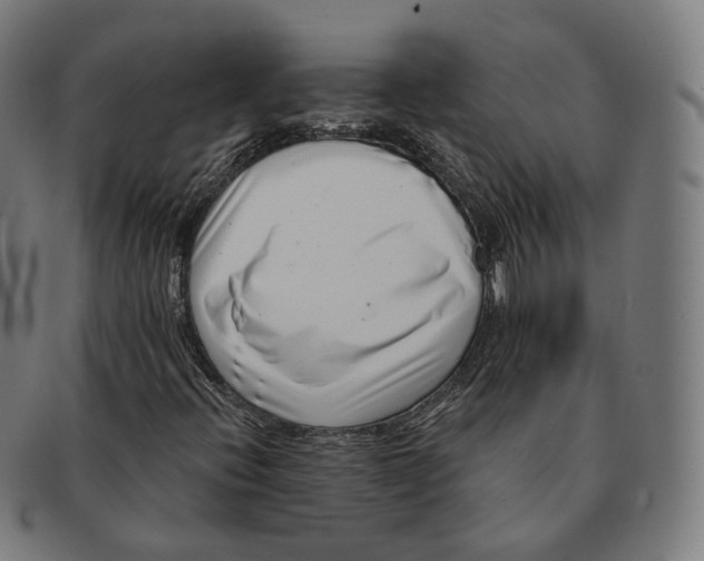 X0000091001396200708241438