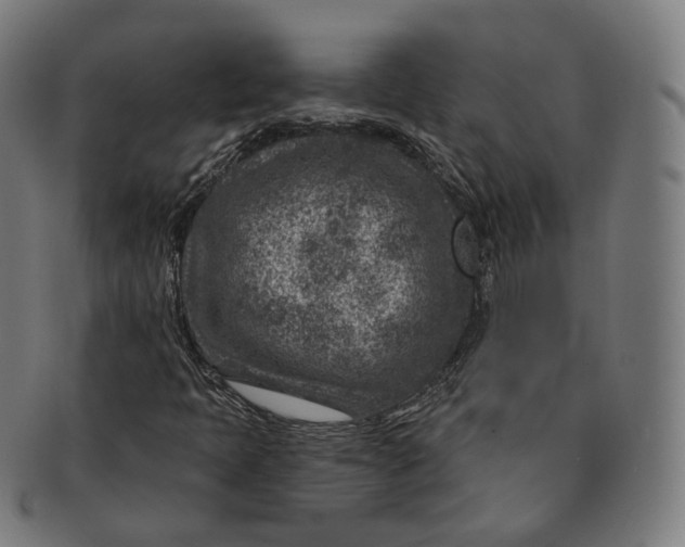 X0000091001397200708241438