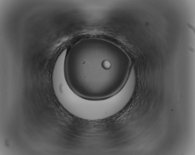 X0000091001398200708241438