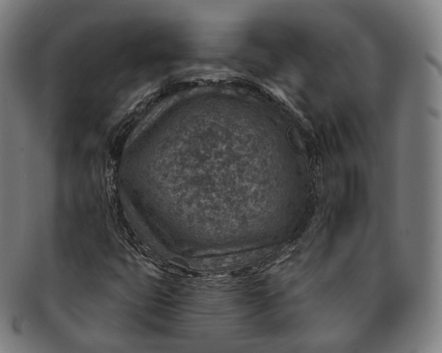 X0000091001399200708241438