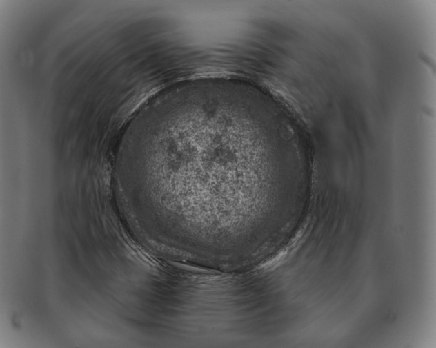 X0000091001401200708241438