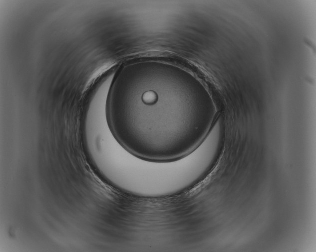 X0000091001402200708241438