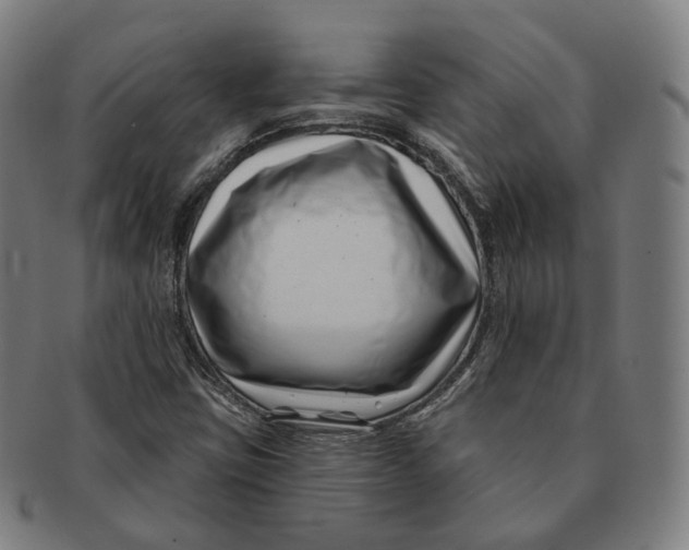 X0000091001403200708241438