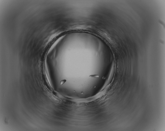 X0000091001404200708241438