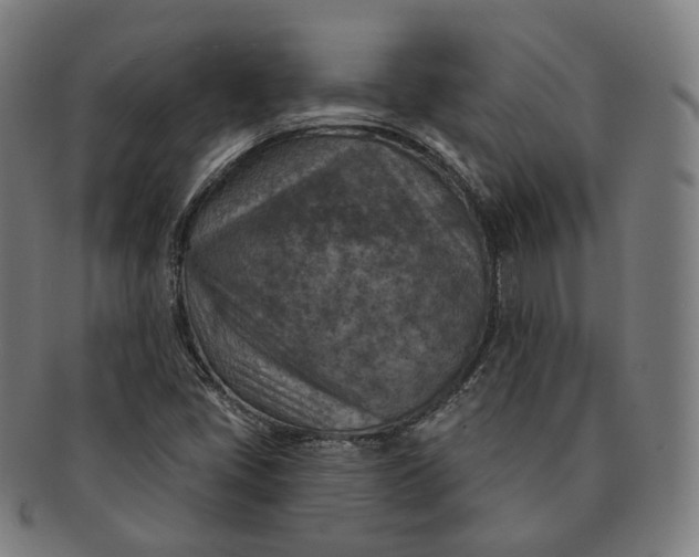 X0000091001405200708241438