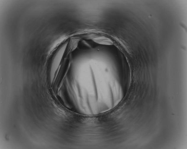 X0000091001406200708241438