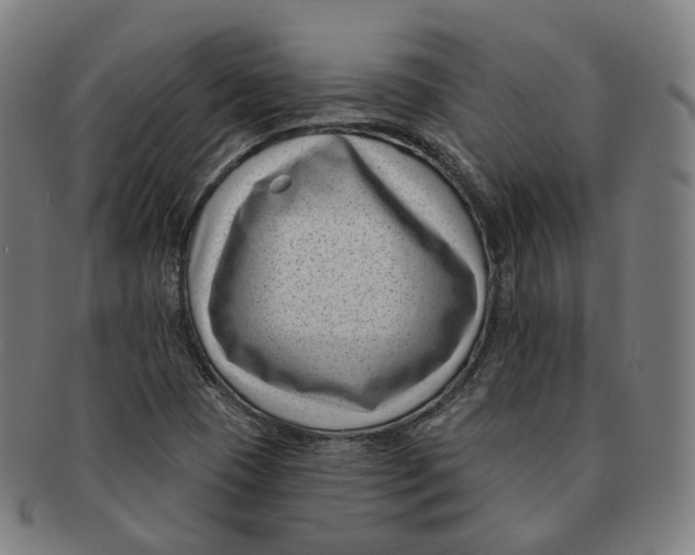 X0000091001409200708241438