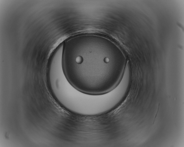 X0000091001410200708241438