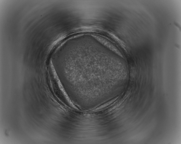 X0000091001411200708241438