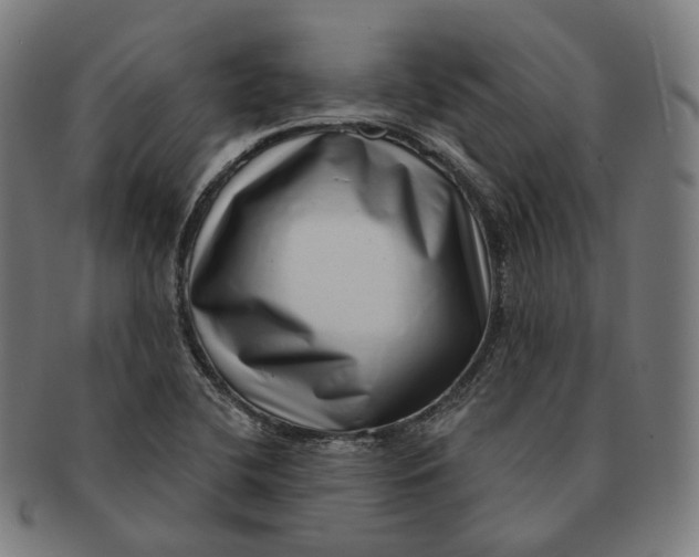 X0000091001412200708241438