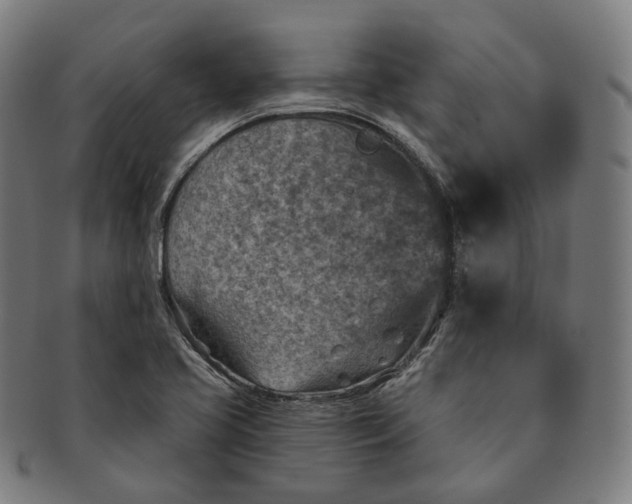 X0000091001413200708241438