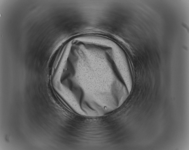 X0000091001415200708241438