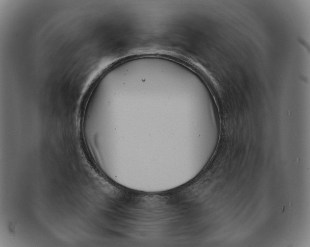 X0000091001416200708241438