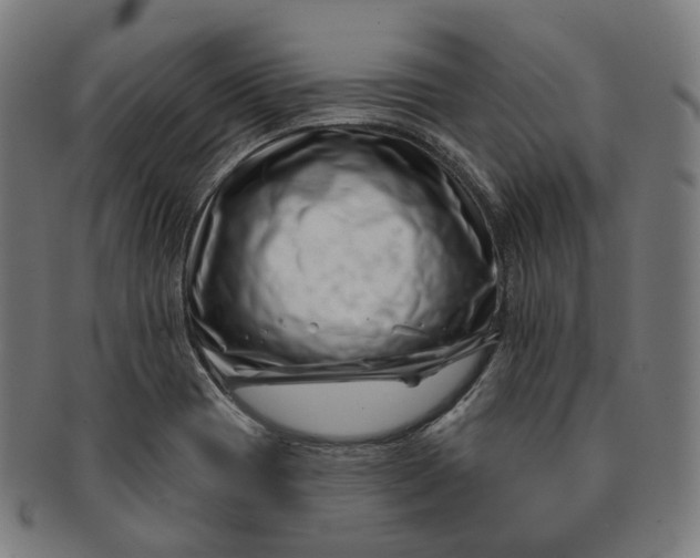 X0000091001417200708241438
