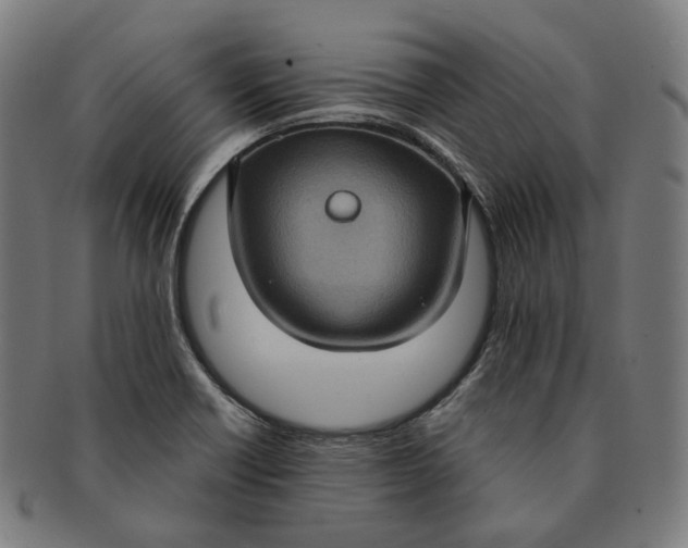 X0000091001418200708241438