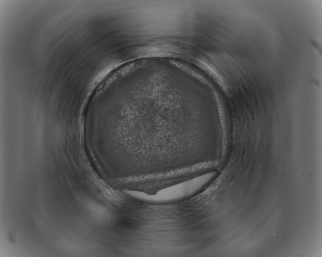 X0000091001419200708241438