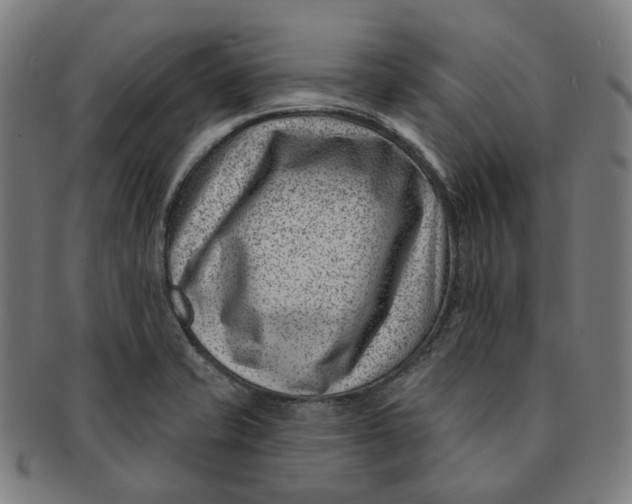 X0000091001421200708241438