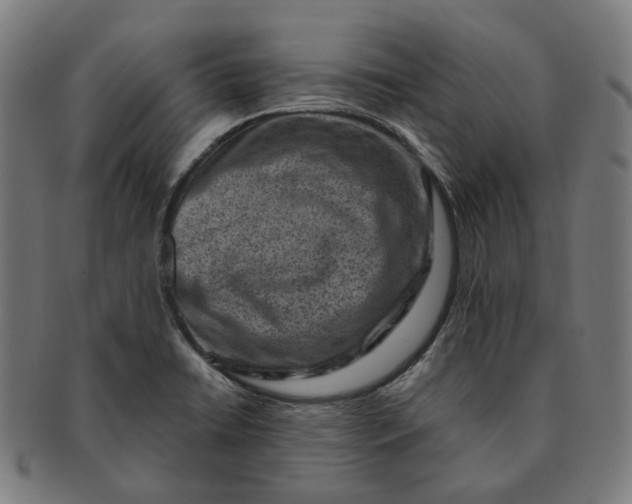 X0000091001422200708241438