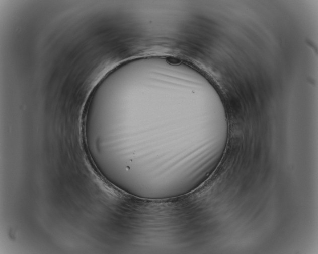 X0000091001423200708241438