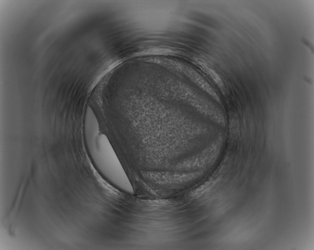 X0000091001425200708241438