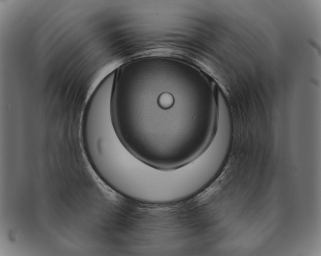 X0000091001426200708241438