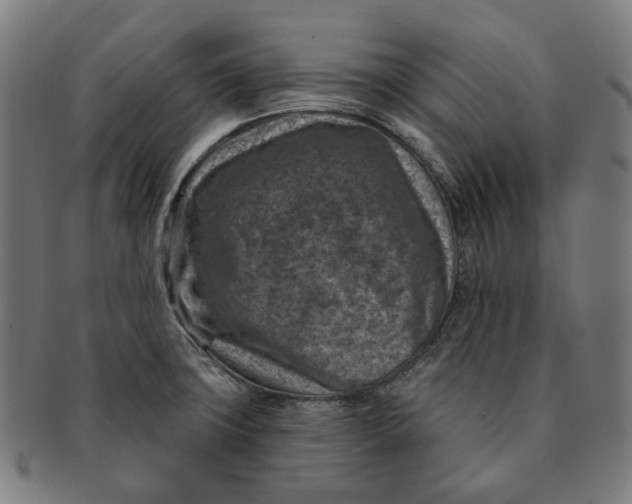 X0000091001427200708241438