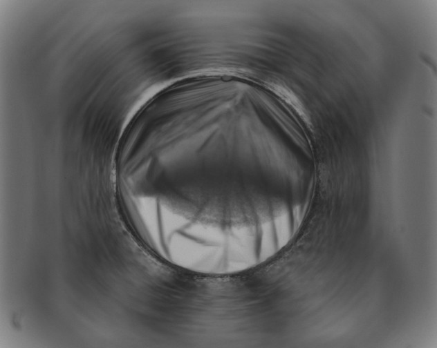 X0000091001428200708241438