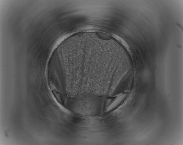 X0000091001429200708241439