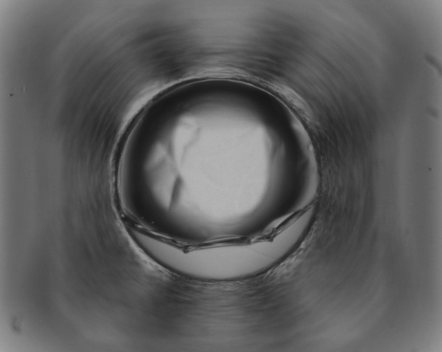 X0000091001430200708241439