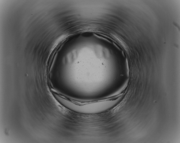 X0000091001434200708241439