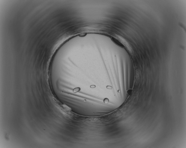 X0000091001435200708241439