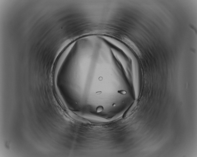 X0000091001436200708241439