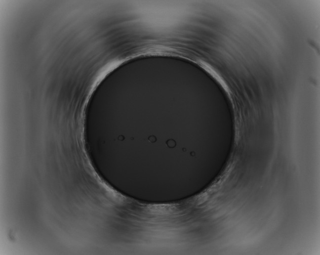 X0000091001437200708241439