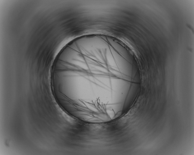 X0000091001438200708241439