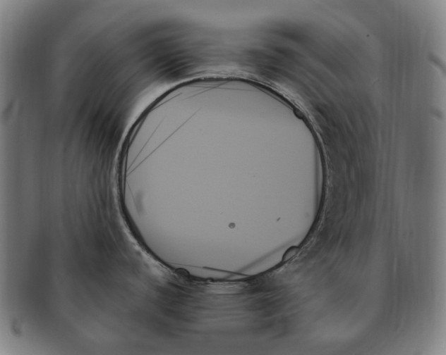 X0000091001440200708241439