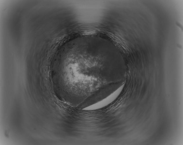 X0000091001441200708241438