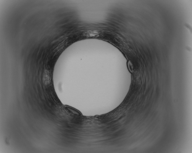 X0000091001442200708241438