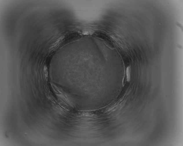 X0000091001443200708241438