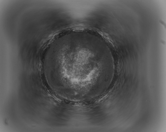 X0000091001445200708241438