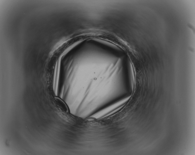 X0000091001448200708241438