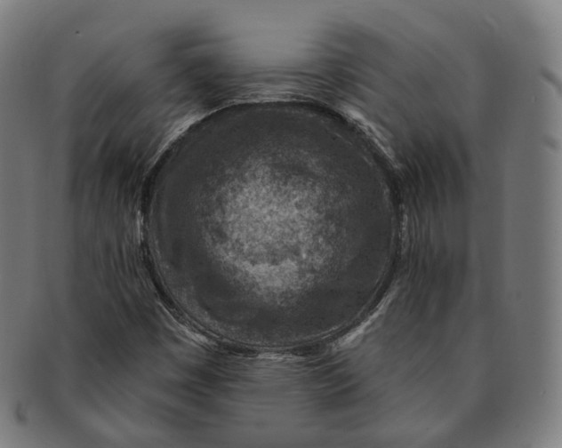 X0000091001449200708241438