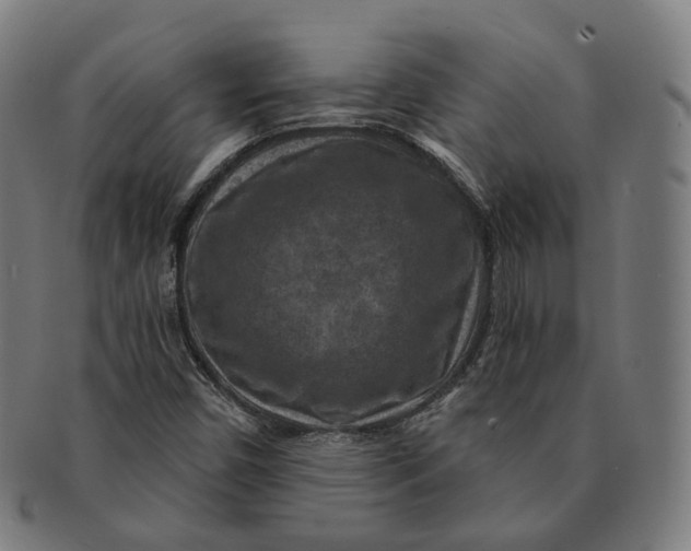 X0000091001450200708241438